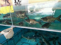-東海海鲜酒家(中信广场店)