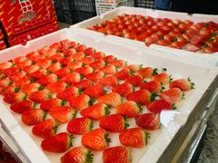 -西郊国际农产品交易中心