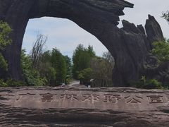 -广富林郊野公园
