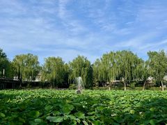 -风渡嘉荷·美式西餐·牛排(西三旗金隅店)