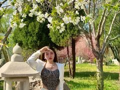 -石家庄市植物园