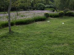 -贵阳市花溪国家城市湿地公园