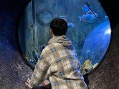 -成都浩海立方海洋公园