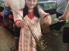 -班赞海鲜市场