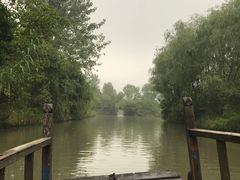 -溱湖国家湿地公园