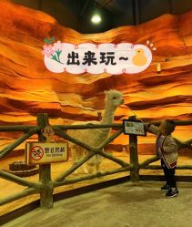 点击看大图 -酷嗒动物文化乐园(cutezoo西溪乐天城店)