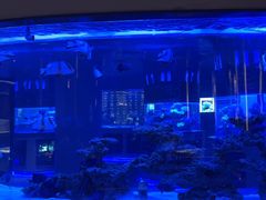 -上和臻品中国菜(花园街店)