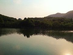 -杭州半山国家森林公园