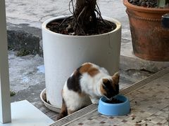 -彳亍咖啡·这里(水湾路店)