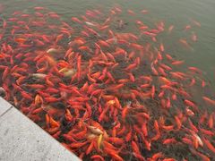 -西海子公园