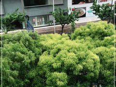 -Ms.Pilates 普拉提技术(尚悦湾陆家嘴店)
