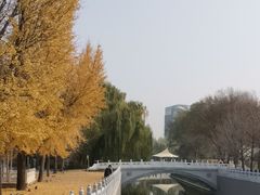 -朝阳公园体育中心