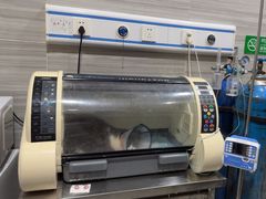 -瑞派名望志远动物医院·猫科·內科·异宠专科(直港大道店)