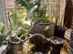 -苏沐堂全息足浴·SPA·按摩(万科美好广场店)