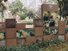 -成都市活水公园