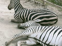 -水上乐园·欢乐世界