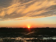 -天津东丽湖风景区