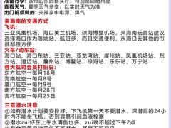 -虎婆冷饮店·海南特色炒冰(三亚湾店)