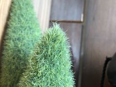 -唤醒你(国兴大厦店)