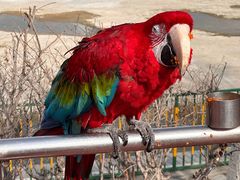 -水上乐园·欢乐世界