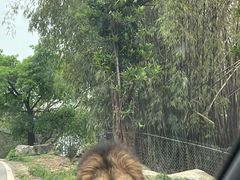 -乐和乐都主题乐园
