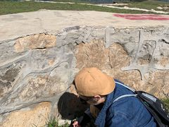 -灵山