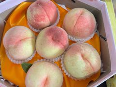 -南汇水蜜桃采摘(大团店)