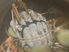 -蟹臻鲜阳澄湖大闸蟹(889广场店)