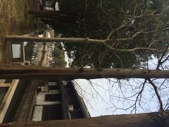 iphone_upload_pic-练塘古镇