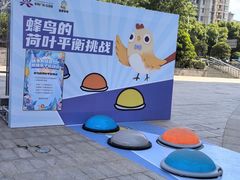 -紫荆广场·花漫里
