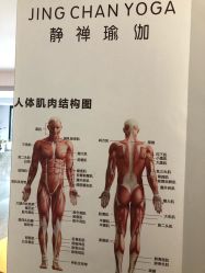 -JC·YOGA静禅瑜伽普拉提