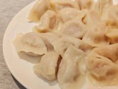 大蒜猪肉水饺-宏达老菜馆(东安街店)