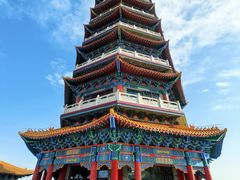 -金塔沙漠胡杨林景区