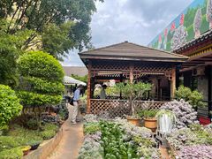 -山菌美食苑(振兴路店)