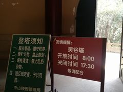 -灵谷景区