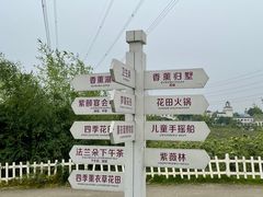 -紫颐香薰山谷景区