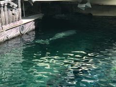 -悉尼海洋生物水族馆