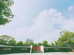 -龙华寺