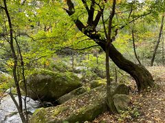 -五女峰国家森林公园