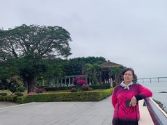 -大湾区中央湿地公园