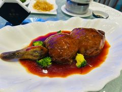 -丁老爷子苏香圆