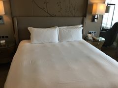 -上海中航虹桥机场泊悦酒店