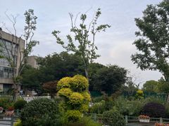 -上海交通大学医学院附属仁济医院(南院)