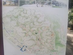 -神光山国家森林公园