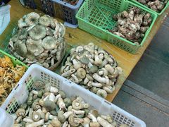 -蔼若春.传承三十年云南菜(金碧公园店)