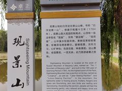 -荷花大观园