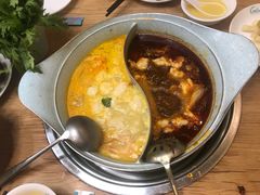 -青瓷火锅料理(西单大悦城店)