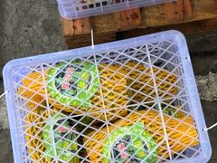 -东方鼎信农副产品交易中心