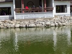 -团结湖公园