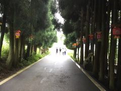-金色印象·4K影院式足体养生(杨家坪西郊店)